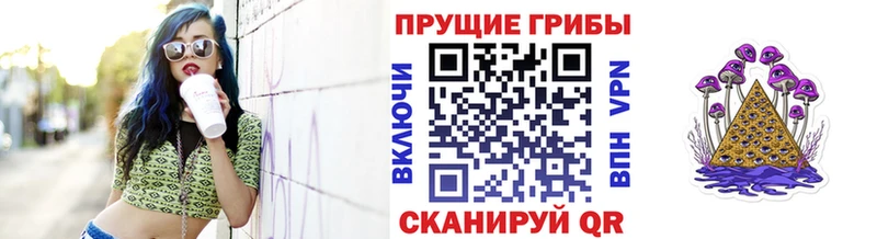Псилоцибиновые грибы MAGIC MUSHROOMS  Купить закладки  Чишмы 